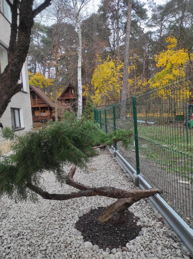 Chatki Saturnina I Pokoje Świnoujście Εξωτερικό φωτογραφία